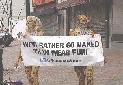 animal painted nude peta protesters hiding behind a banner