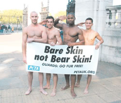 hunky naked PETA guys